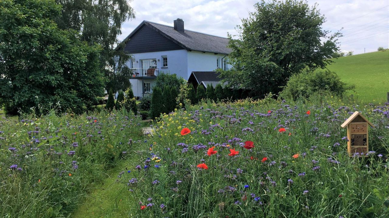 hausblumen hausblumen